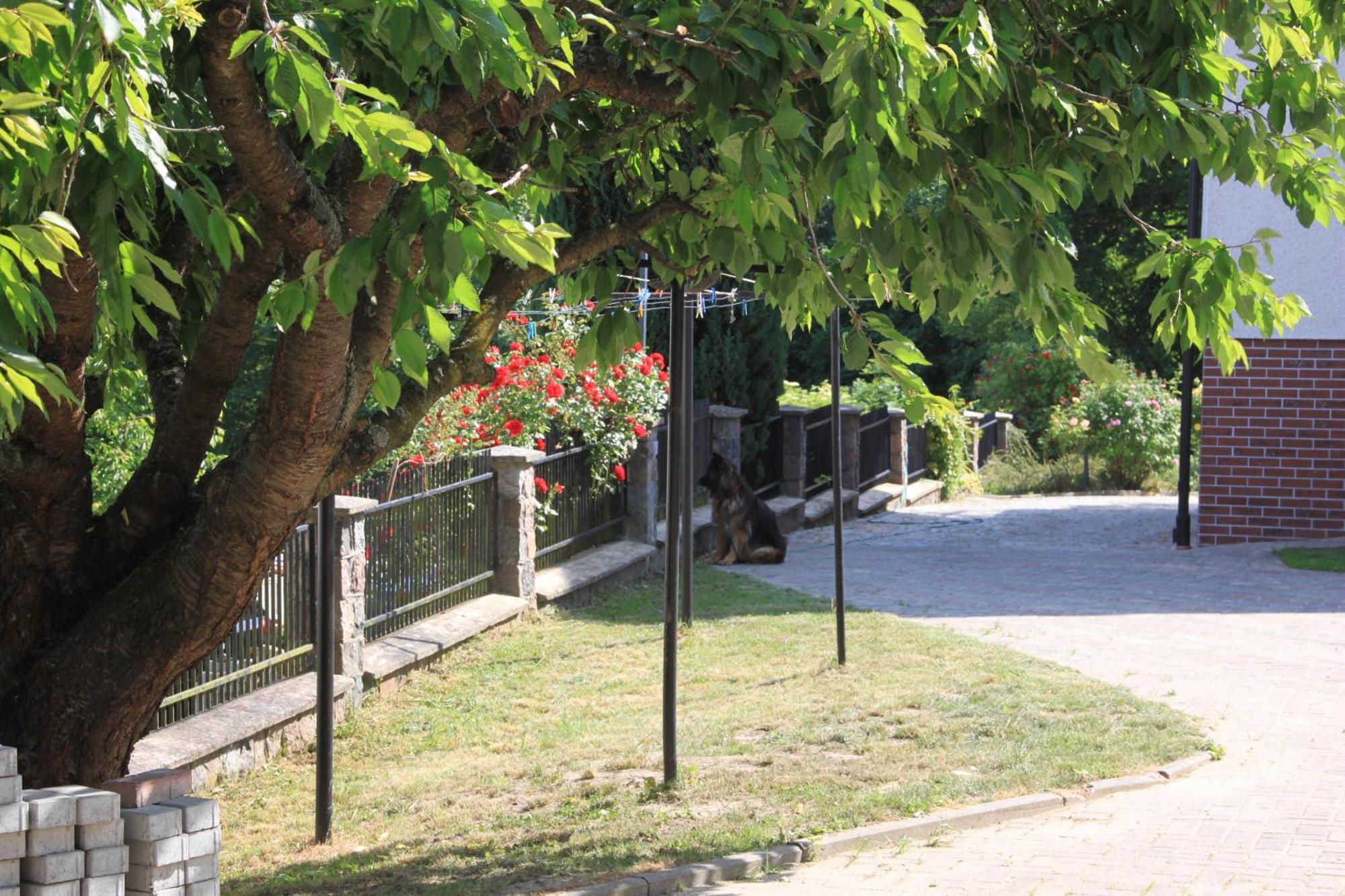 Mira - Mira Pokoje Z Widokiem Na Jezioro Chmielno Exterior photo